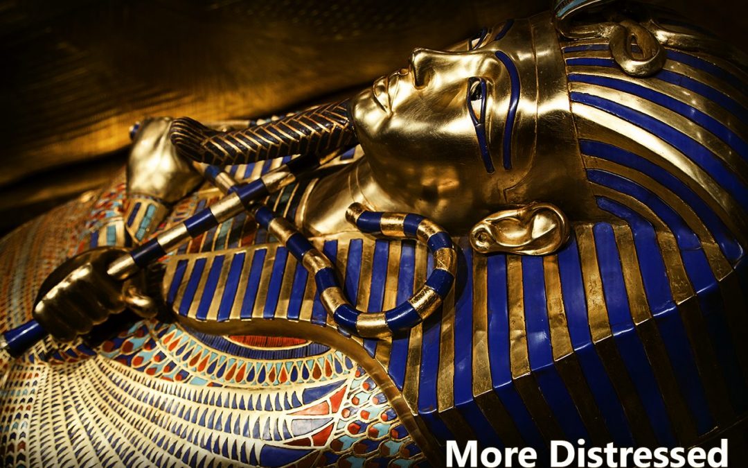 June 2015’s Action of the Month | Distressed Actions
