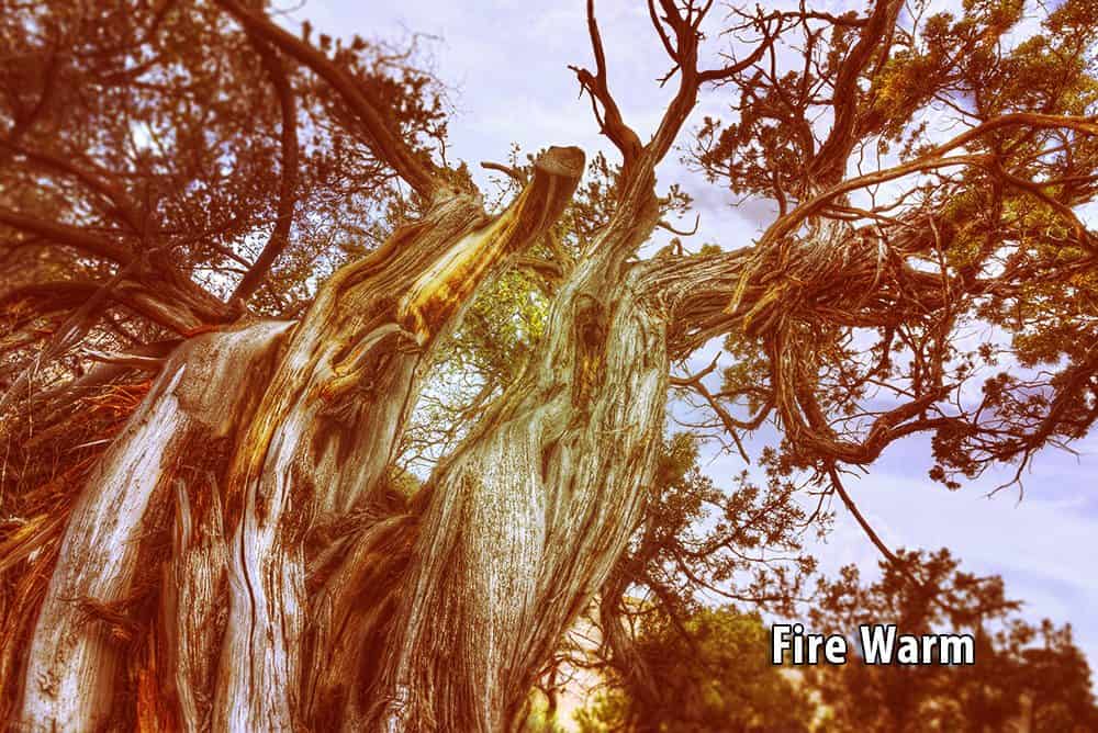 July 2015 Actions | Instagrammed Effects