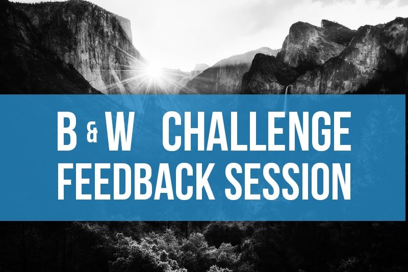 Black & White Feedback Session