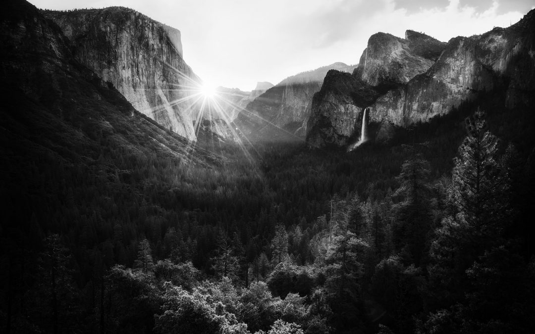 Black and White Challenge