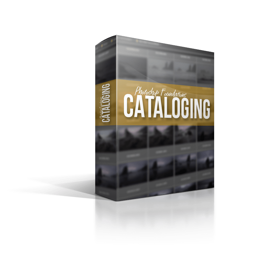 PS Foundations Cataloging
