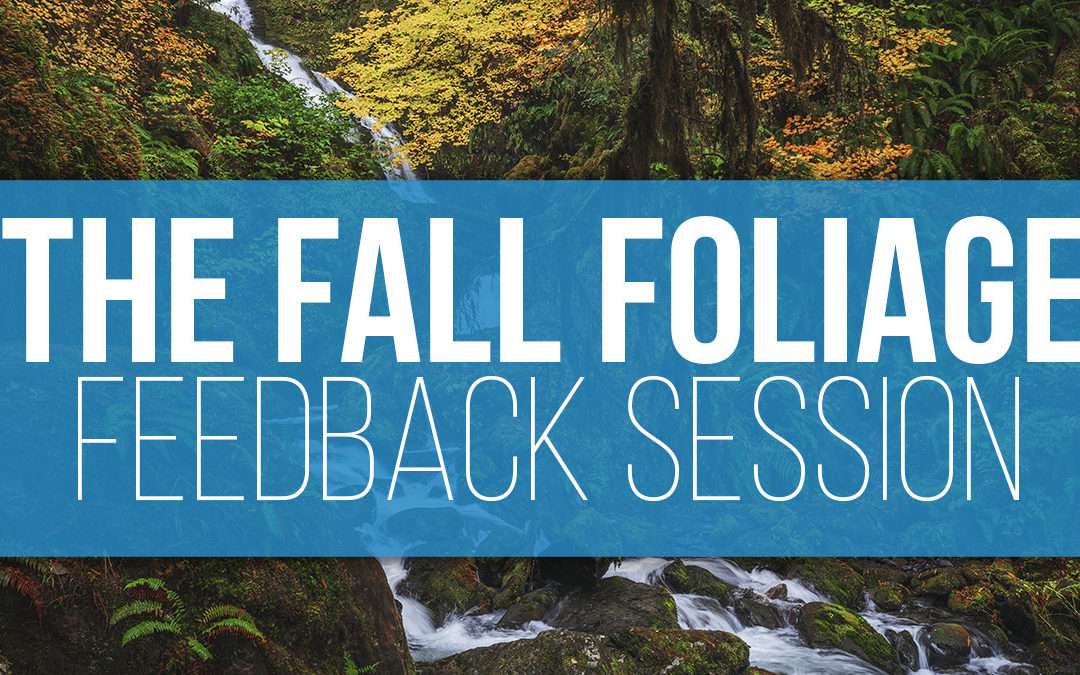 The Fall Foliage Challenge Feedback