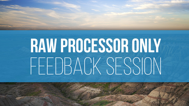 Raw Processor Only Feedback Session