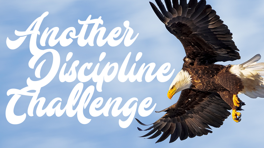 Another Discipline Challenge