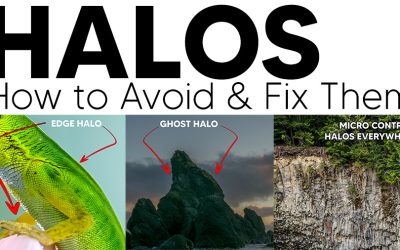 Halos – How to Avoid & Fix