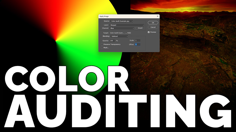 Color Auditing