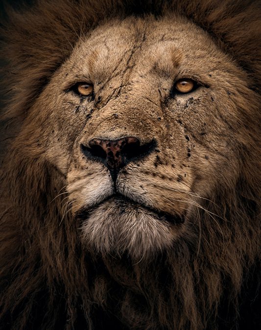 October 2025 Critique Session #2