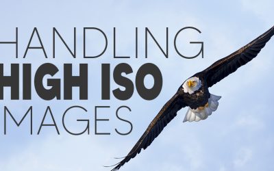 Handling High ISO Images