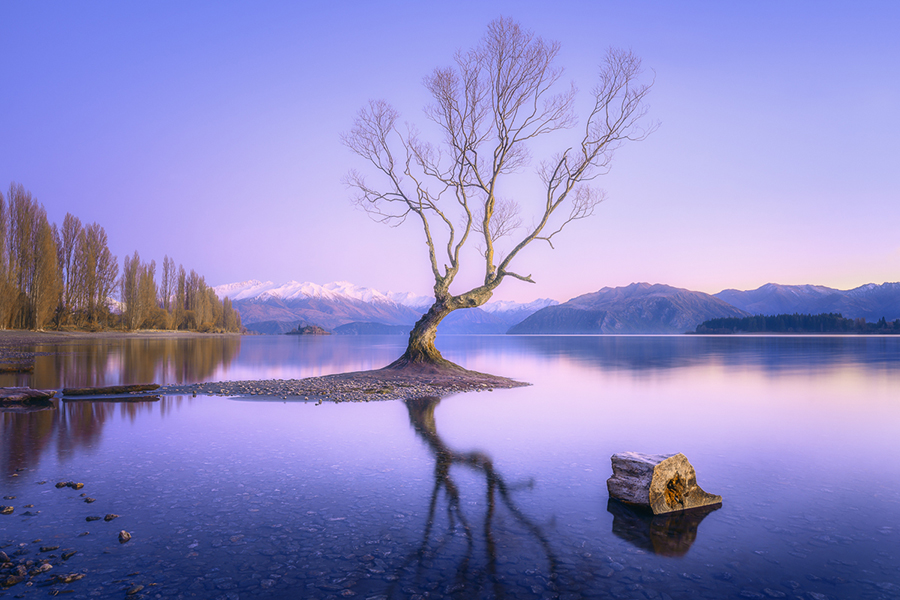 November 2025 Critique Session #2