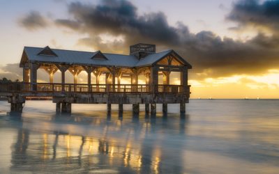 January 2026 Critique Session #2